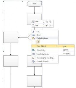OLE editing with Visio